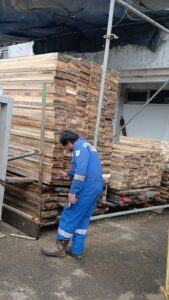 Harga Kayu